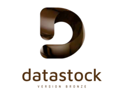 Datastock Bronze